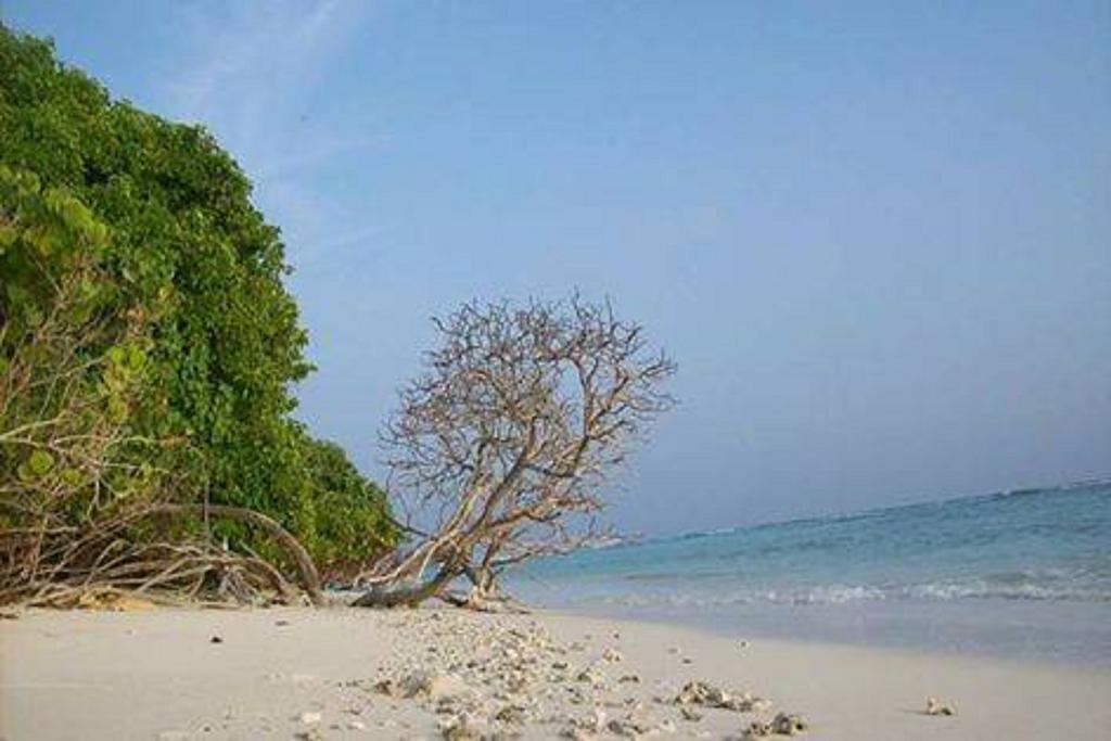 Madi Finolhu Guest House Dharavandhoo Εξωτερικό φωτογραφία