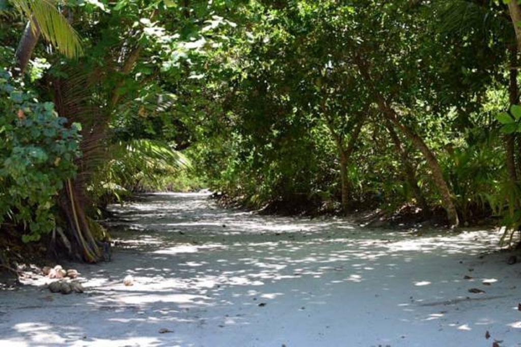 Madi Finolhu Guest House Dharavandhoo Εξωτερικό φωτογραφία